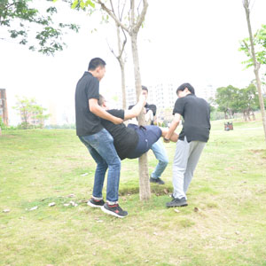 mubiao-1